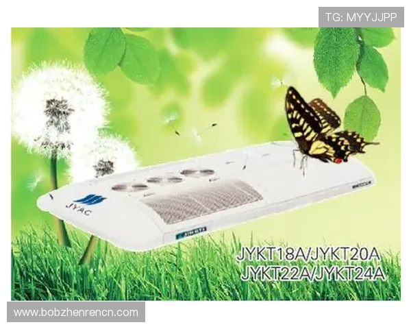 PA视讯安全保障玩家隐私与资金安全的全面解决方案