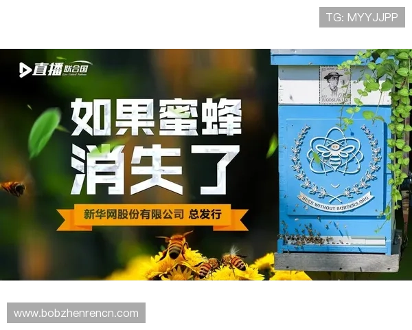 UG环球视讯官网的安全保障体系与隐私保护措施，保障玩家权益的全面解析